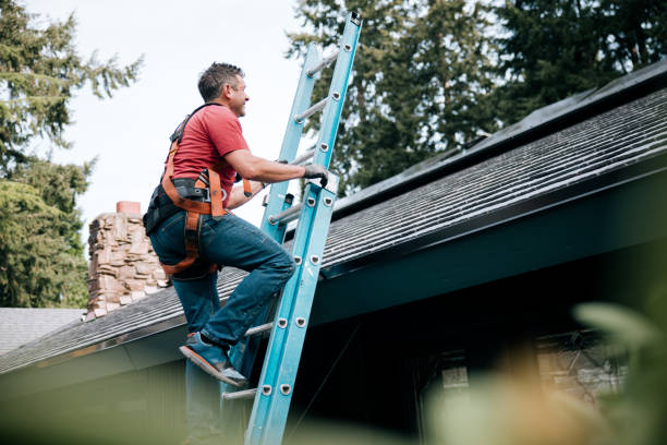 Professional Roofing Services in La Mesa, CA